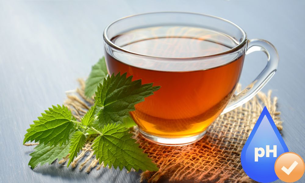 Is Green Tea Acidic Understanding Its pH and Effects on Your Health